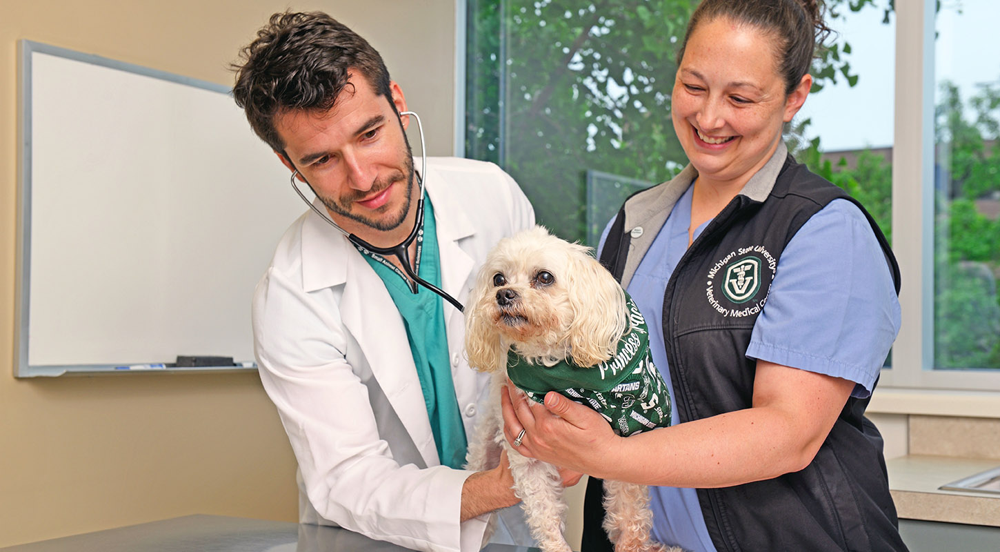 dog with vet and owner