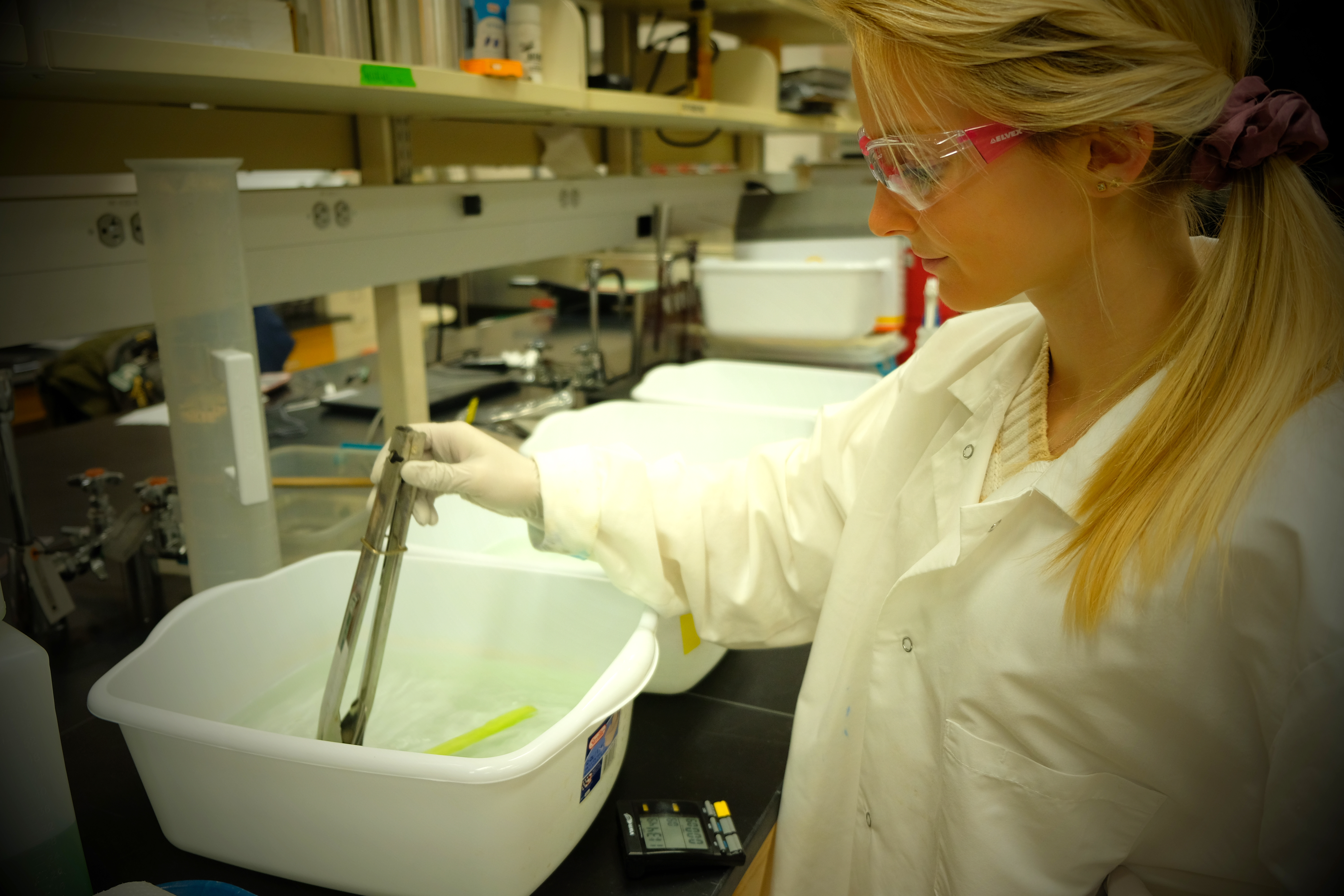 Carly Gomez mixing celery