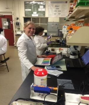 Photo of lab developing biosensors for food, health and environmental safety and biosecurity Photo of lab developing biosensors for food, health and environmental safety and biosecurity
