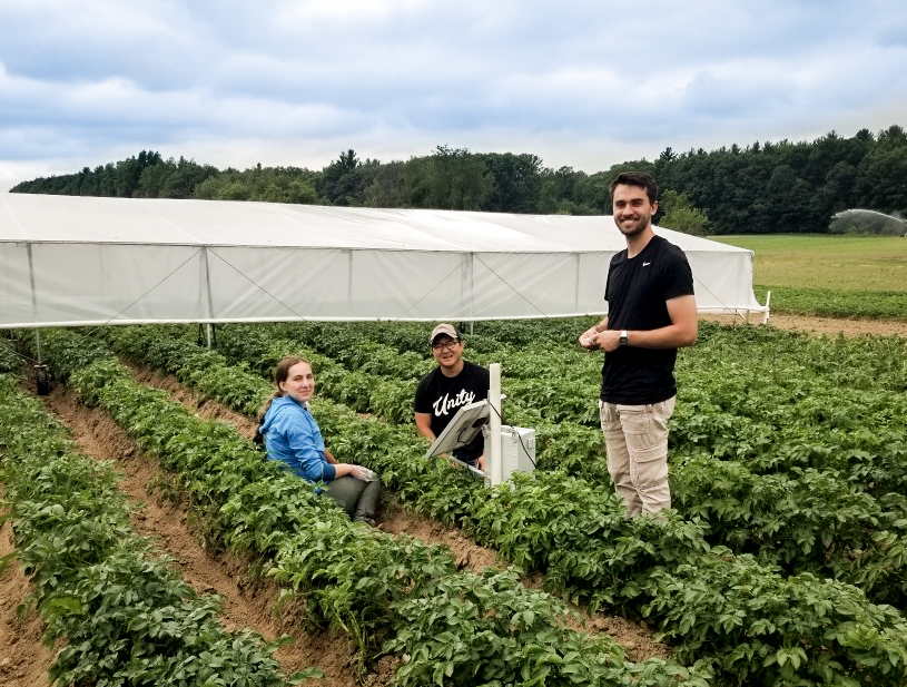 Photo of Younsuk Dong and two students in a field of potato plants