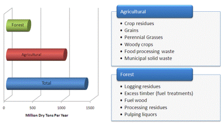 biomass_resources
