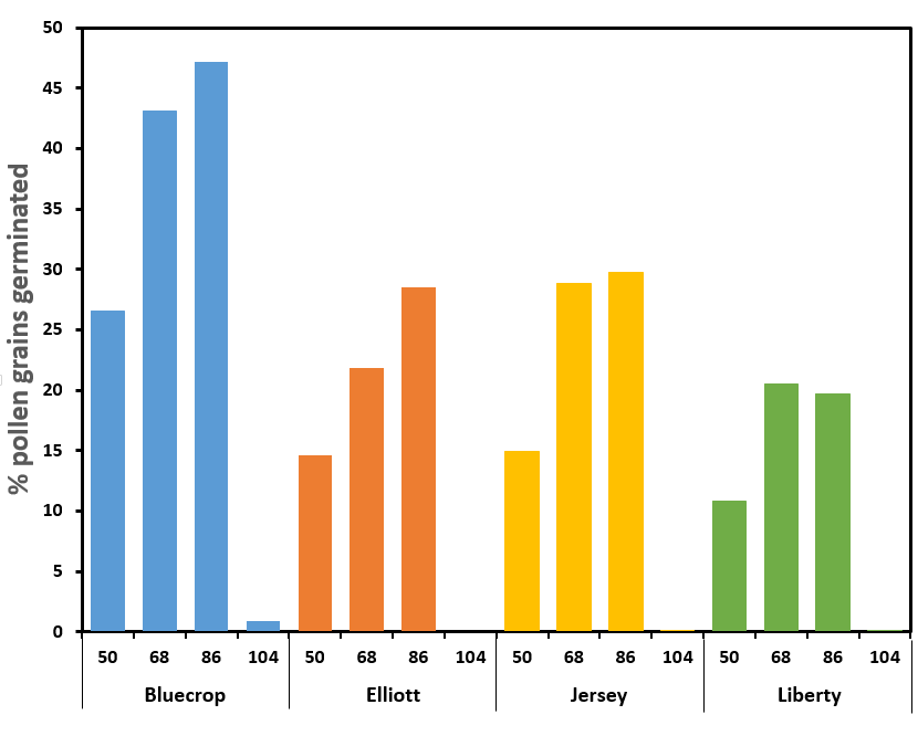 Germination rates of highbush blueberry pollen at four temperatures.