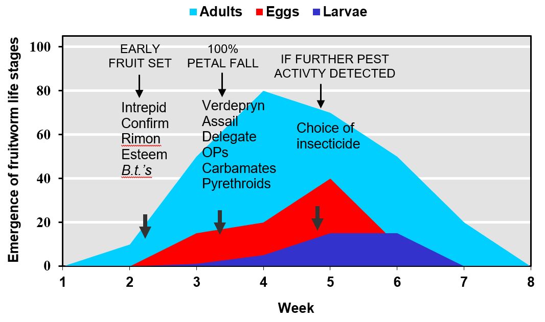 Fruitworm emergence graph