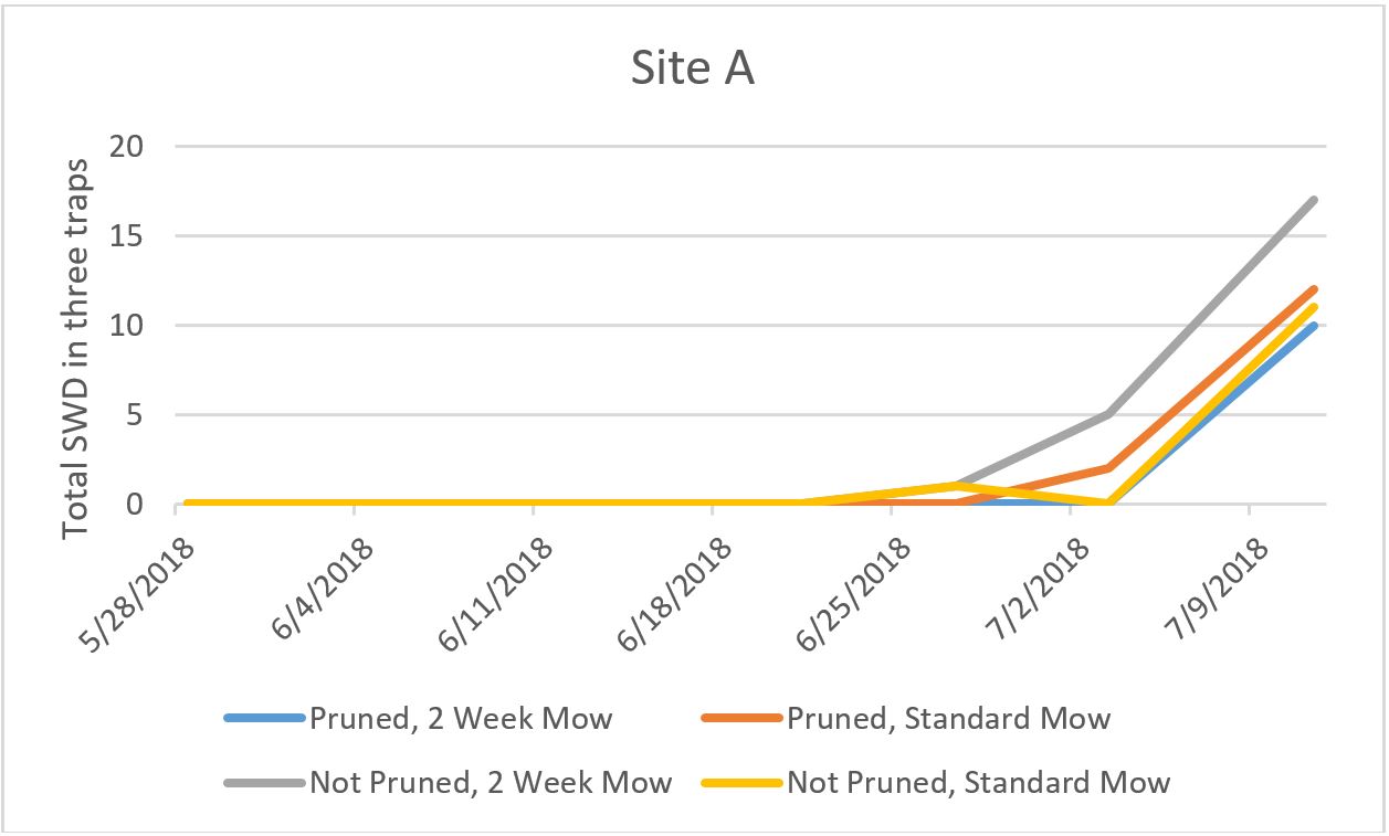 Site A graph