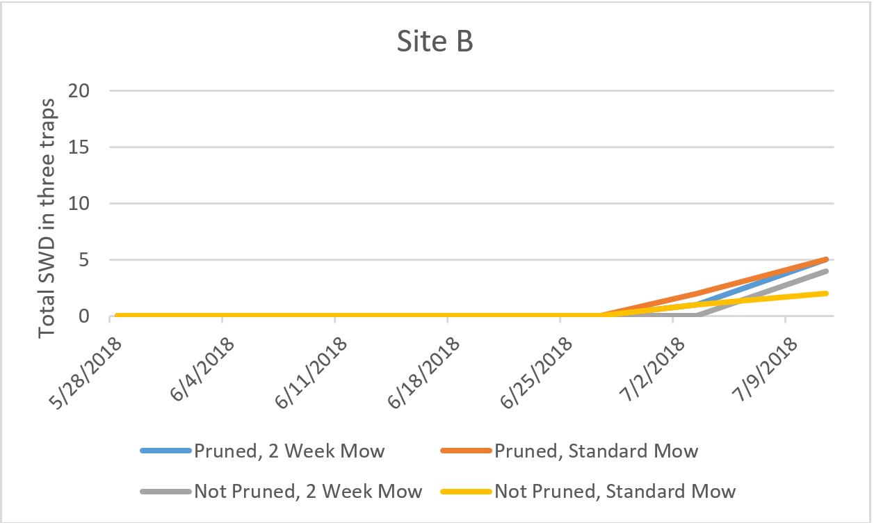 Site B graph