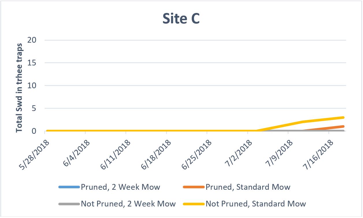 Site C graph