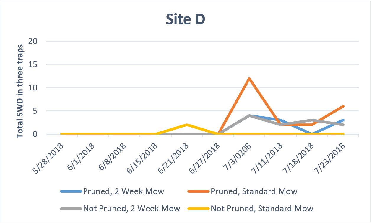 Site D graph