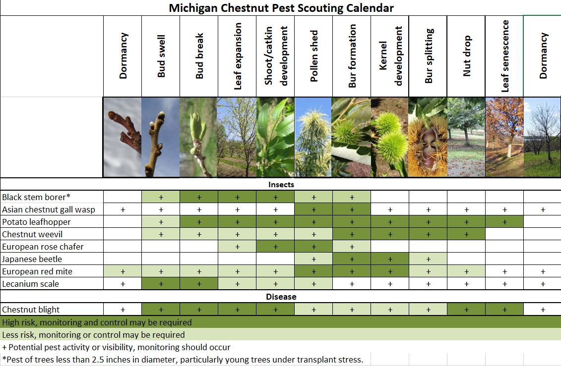 Scouting calendar