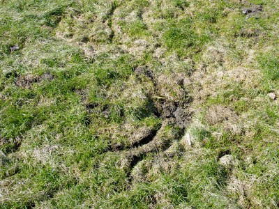 Vole tunneling