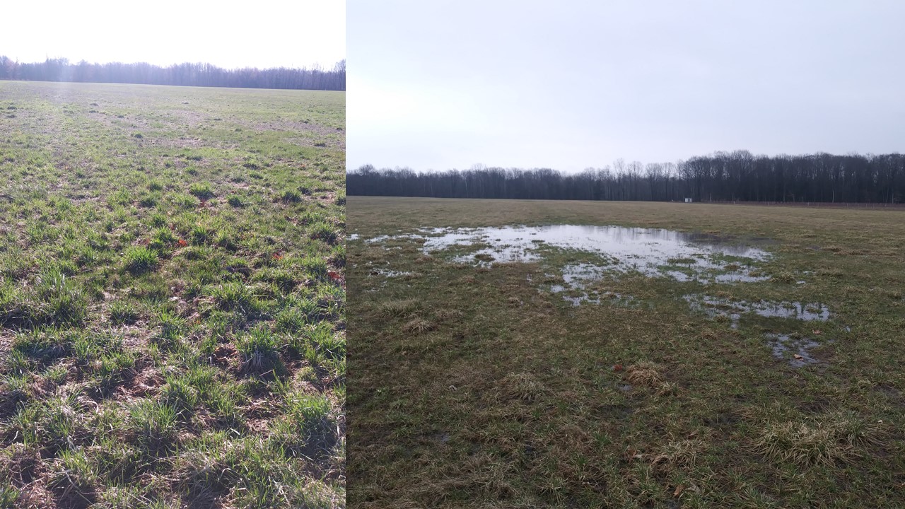 Difference in drainage in a field.