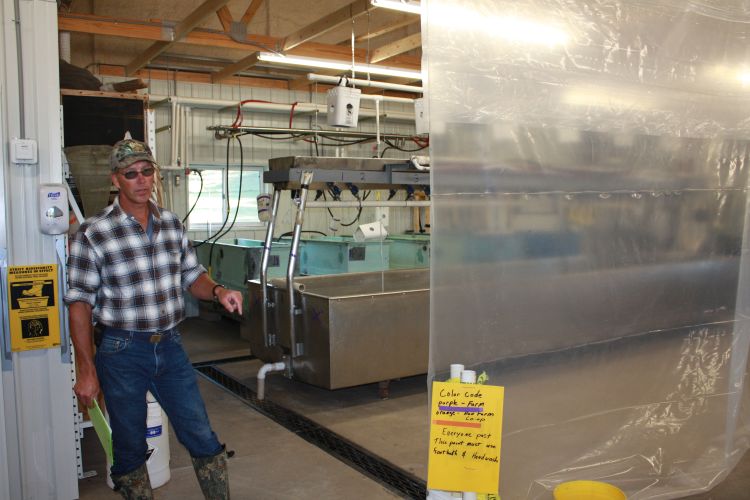 Baitfish farm is shown using AIS-HACCP/Aquaculture Biosecurity procedures. Photo: Ron Kinnunen | Michigan Sea Grant