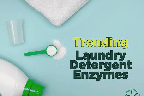 Trending – Laundry Detergent Enzymes - Center for Research on Ingredient  Safety