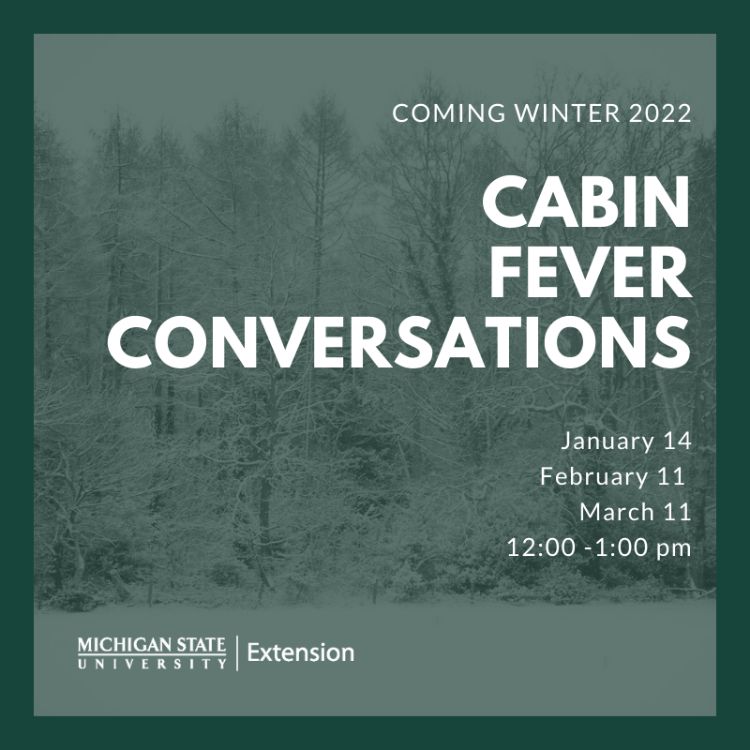 Promotional flyer for Cabin Fever Conversations