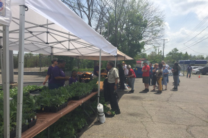 Edible Flint veggie garden kits enable successful Flint food gardens