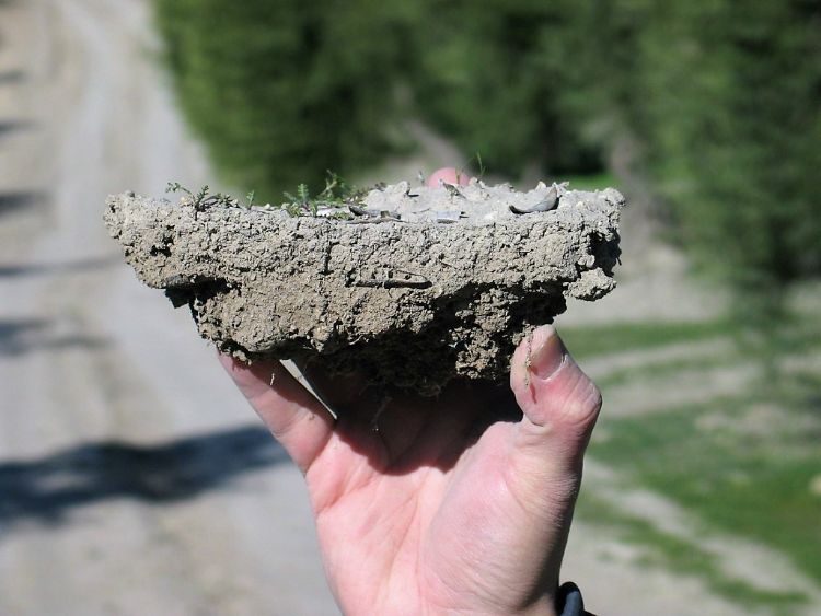 Picture of a blocky soil aggregate.