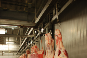 Planning and managing direct marketing opportunities for beef