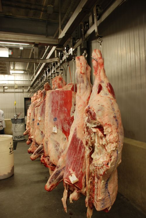 Planning and managing direct marketing opportunities for beef - Beef