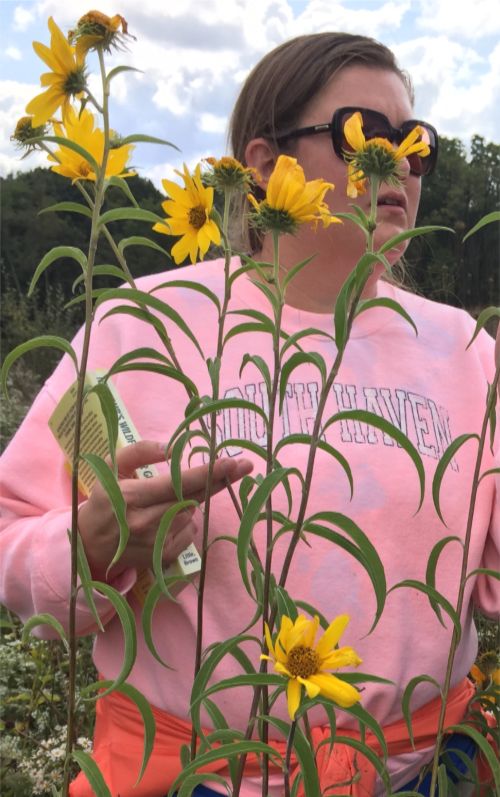 Woman in field of flowers with nature guide book