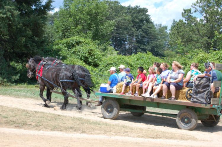 Visitors can enjoy a horse drawn wagon ride to and from the parking lot to the Expo site.