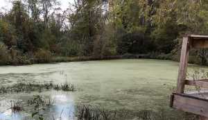 Cost To Build A 20 Acre Lake : Central Park Wikipedia : Old existing foundation from 2002 custom plan may be priest lake cabin on acreage | 442 s sandy shores ln.