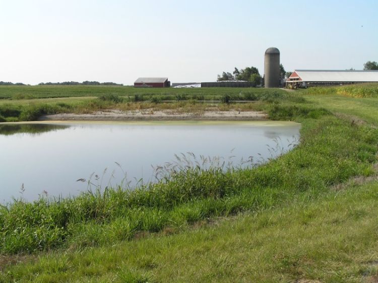 Three-stage constructed wetland for sub-irrigation of ‘gray water’ at Baker Lad's Farm.