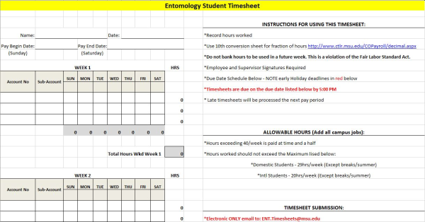 Screenshot of timesheet.