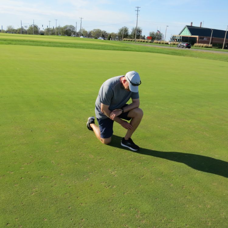 A man kneels down on a putting green to look at small ball marks in the ground.