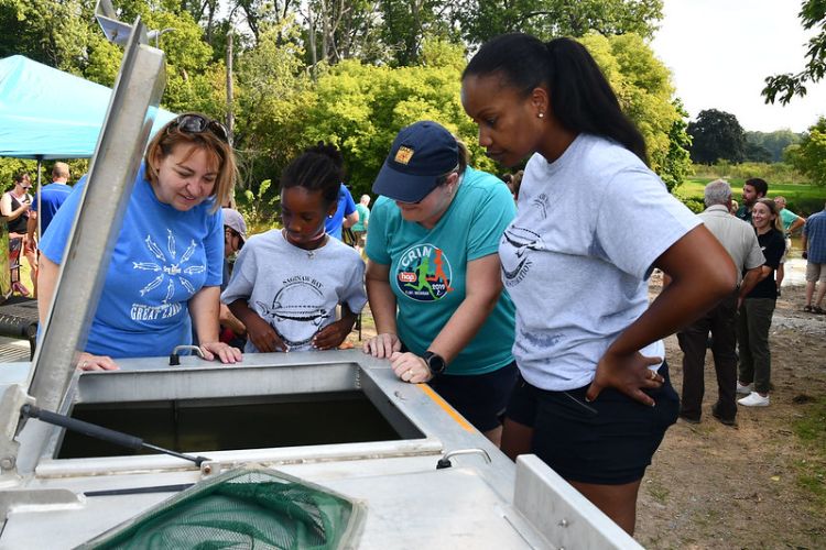 People are gathered around and looking into a container where baby sturgeon are being kept before being released into the river.