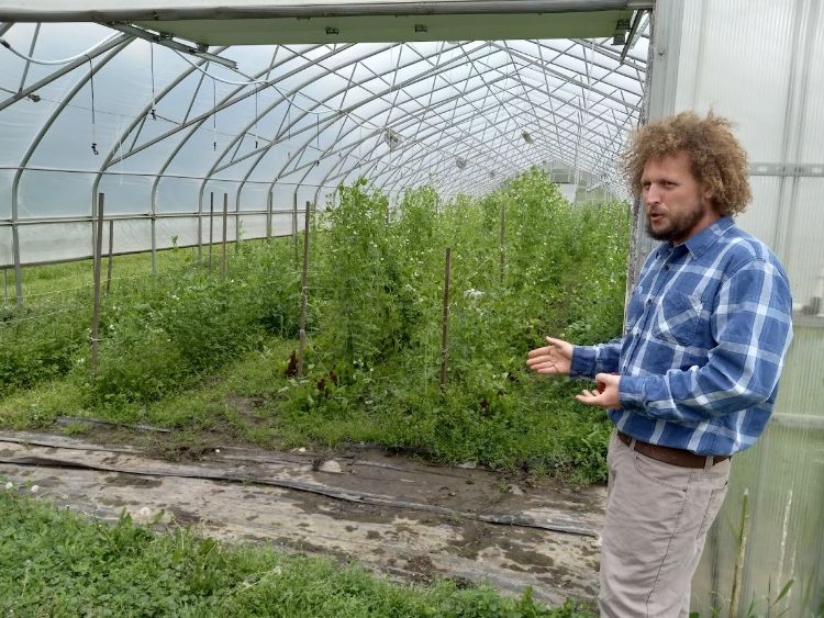 A man stands and talks in front of a hoophouse with garden vegetables growing inside.