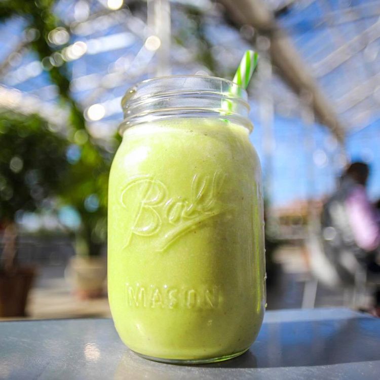 A delicious matcha smoothie from Malamiah Juice Bar. | Photo by Jermale Eddie, co-founder of Malamiah Juice Bar, LLC
