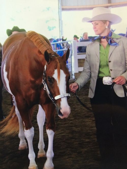 Learn about horse show judge Jennifer Kiser’s favorite classes, pet peeves, and much more! Photo credit: Jennifer Kiser | MSU Extension