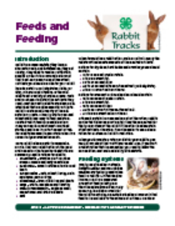 Rabbit Tracks: Feeds and Feeding - MSU 