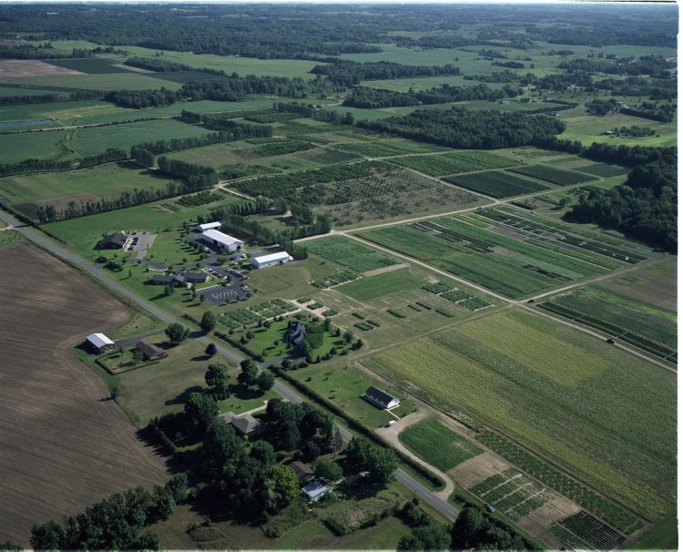 Aerial photo showing vegetable plots at the Southwest Michigan Research and Extension Center near Benton Harbor, Mich,