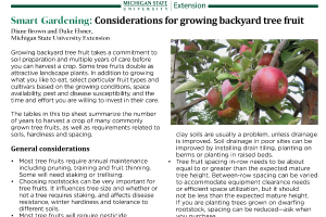 Smart Gardening: Considerations for growing backyard tree fruit