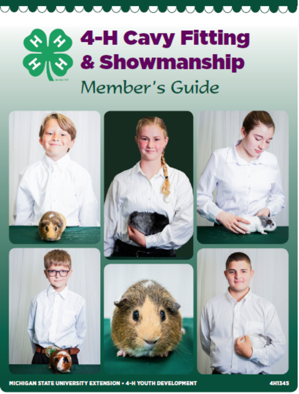 cavy-fitting-showmanship-member-s-guide-4h1345-4-h-rabbits-cavies