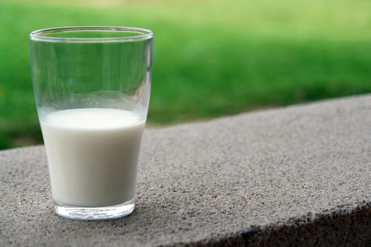 Bir bardak süt.