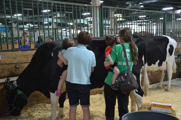 Two women each holding a child, standing around a dairy cow