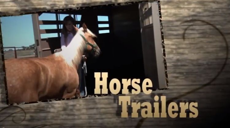Disaster preparation includes training your horse to load in a trailer under stressful circumstances, having an animal evacuation plan and ensuring your horse can be identified with the proper paperwork.