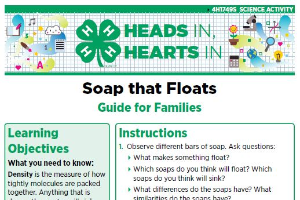 Heads In, Hearts In: Soap That Floats
