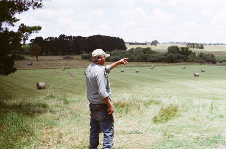 a man pointing out into a field