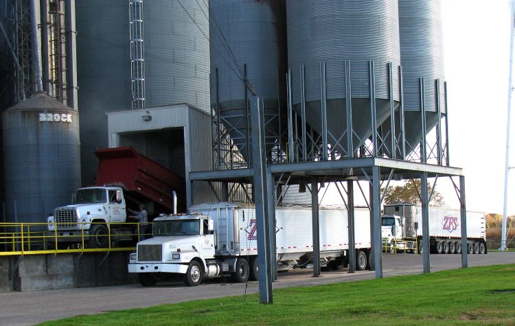 Truck dumping soybeans. All photos by Zeeland Farm Services