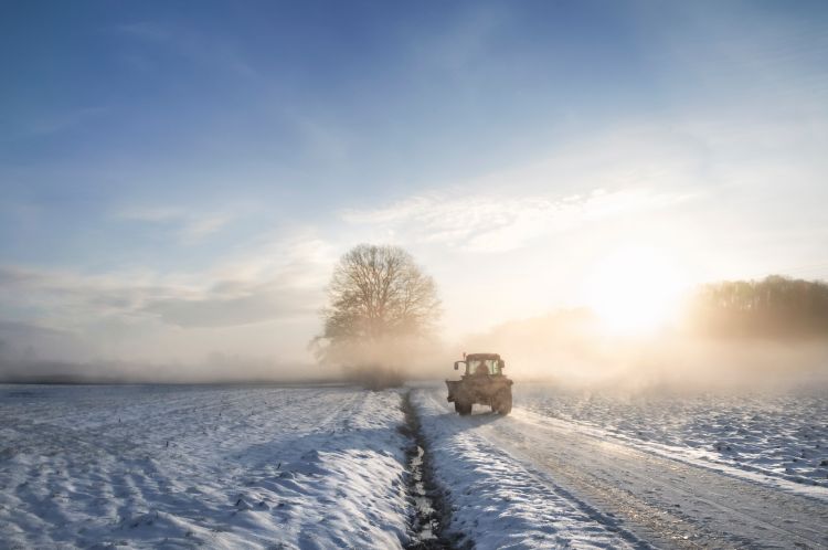 Tractor in the snow