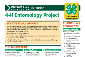 Michigan 4-H Cloverbud Snapshot Sheet: 4-H Entomology Project (4H1725)