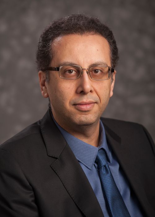 Photo of Dr. Pouyan Nejadhashemi