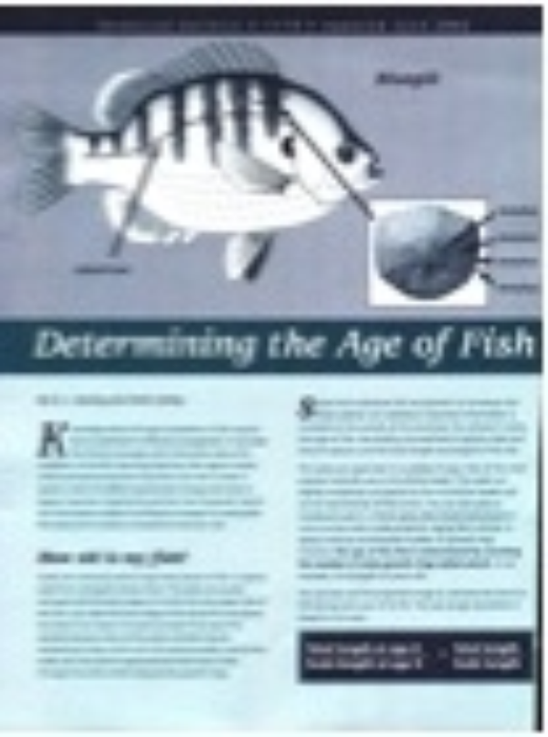 Determining The Age Of Fish E1774 Msu Extension