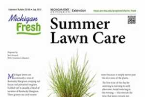 Michigan Fresh Summer Lawn Care E3180 Msu Extension