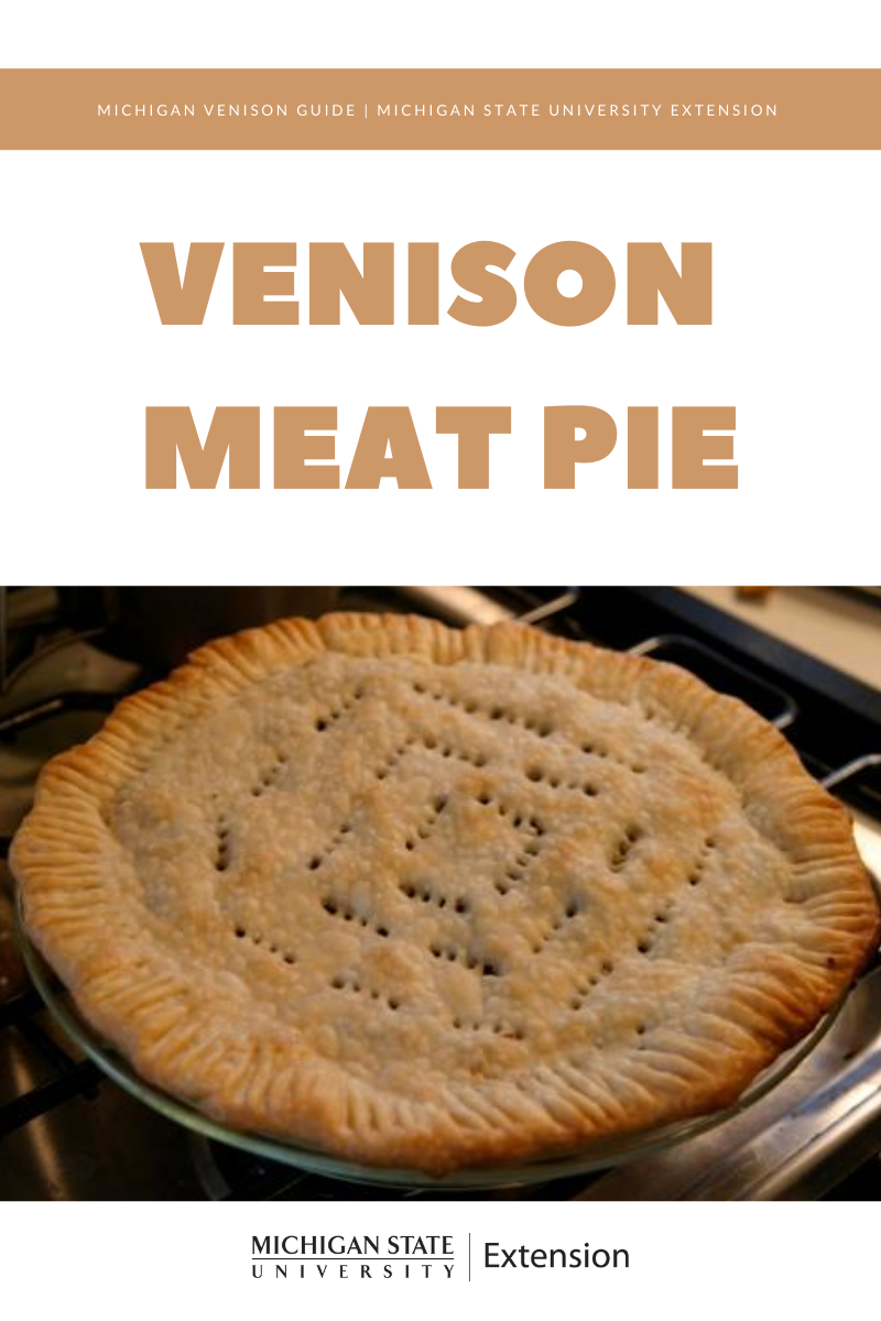 Image of Venison Meat Pie.