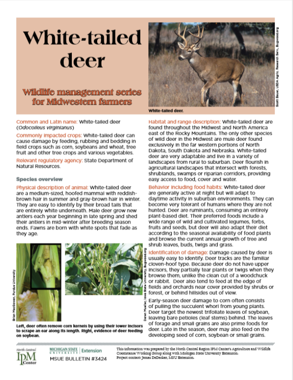 Photo of first page of White-tailed Deer article.