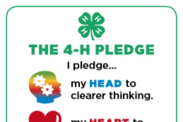 4 H Pledge Printable