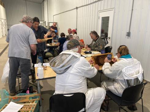 Photo of beekeepers grafting at a queen rearing workshop.